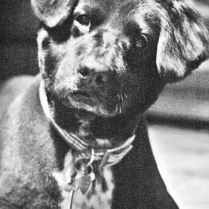 Meet your Posher, Judy davis